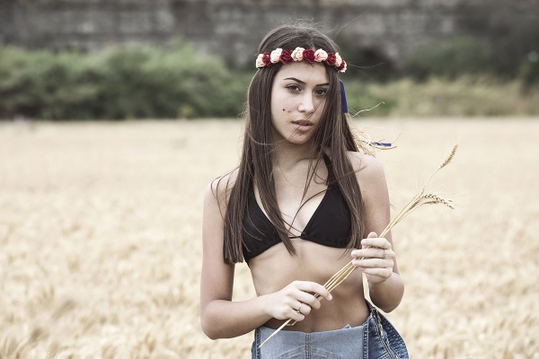 Fields of Gold